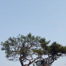 상록농장 이미지