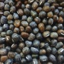 개골농장 이미지