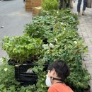 태성농자재 이미지