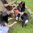 트리민박 이미지