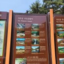 저수지상회 | 영주 문경 충주 여행 #3 괴산 수옥폭포와 수옥정 &amp; 수안보 족욕길