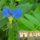 알베르트 슈바이처(Alvert Chweitzer)어린시절 이미지