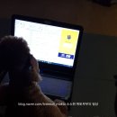 메리랑 메롱이네 이미지