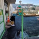 하단초등학교 이미지