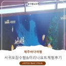 리솜해양레저 | 제주 단체 즐기기 추억 만들기 잠수함 바닷속 여행 요트체험 바다 위 여행 서귀포 잠수함 퍼시픽 마리나...