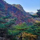 주식회사 우주시스템 이미지