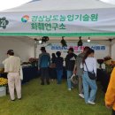 경기꽃화훼 이미지