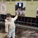 영천민속관 이미지