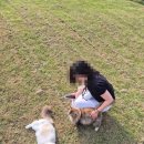 고영 | 고양이 집사 쿼카와 함께하는 김포 [고영주택] 후기