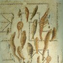 세계의 술과 글로벌 음주문화 이미지