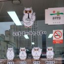 신관동 착한갈비 앞 CCTV | [배꼽부엉이 공주]