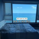 청송민박 | 영덕 오션뷰 숙소 추천 청송 회 대게 펜션 | 가성비 숙소 | 솔직후기