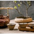 오름정형외과의원 이미지