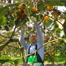 신영주농장 이미지