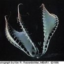 와우디자인 이미지