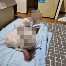 러빙모텔 이미지