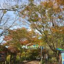 입곡군립공원(운동장앞) | 경남 함안 단풍 구경 입곡군립공원 주차장