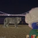 하룻강아지 이미지