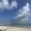 세화피아노 | 제주 동쪽 오션뷰·감성 카페 추천｜카페한라산, 치즈태비, 그초록 , 모알보알