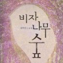 나무숲 이미지