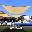 대구 달서구 물놀이 식당 놀멍 아이랑 캠프닉 솔직 후기