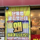 당진 핸드폰 성지 시세표 덕분에 형제 초딩폰 같이 바꿔준 후기