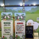 (주)수달앤쥬 | 수원 실내동물원 수달이 있는 수달앤쥬 3번째 방문 후기