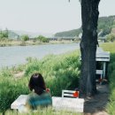 조만강생태체육공원 이동식화장실2 | 경남 김해 청보리밭 조만강 생태공원 허수아비 청보리 축제 시기