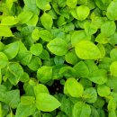 정금농장 이미지