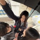 고수라김밥오치점 | 2026/03