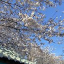 국민생활체육 게이트볼전용구장 이미지