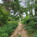 분산스카이투어 이미지