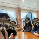 (주)청송관광 | 청송놀거리, 청송여행 2박3일 코스