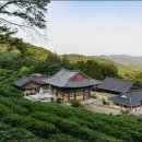 [라석의 차와 시서화] 14, 한국의 차는 자연스럽고 담박한 정신 지향
