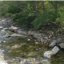 미천골산울림펜션 이미지