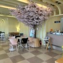 세종 | [세종] 윤연당 베이커리 내돈내산 후기