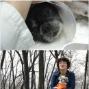 콩이랜드 이미지