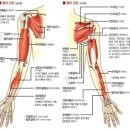 엔엘 휘트니스 이미지