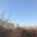구미동해수욕장 네이버블로그