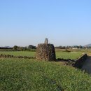 인성리-4 이미지