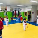 경희대 인수 태권도 이미지