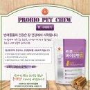 퍼피키티 이미지