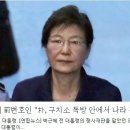 박근혜 前변호인 "朴, 구치소 독방 안에서 나라 걱정" 이미지