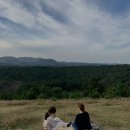 삼일민박 이미지