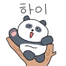 팬더베이프 이미지
