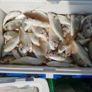 미성프라자 이미지