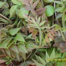 마태농장2 이미지