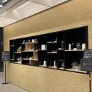 그린테일(GREENTAIL) 이미지