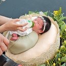 벨라니산후조리원 동탄점 이미지