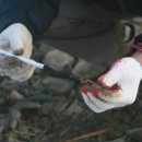 교하삼거리(1) 이미지